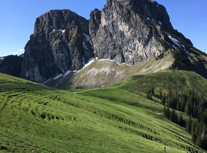 דירה Vitallgaeu-neues Mit Koenigscard *